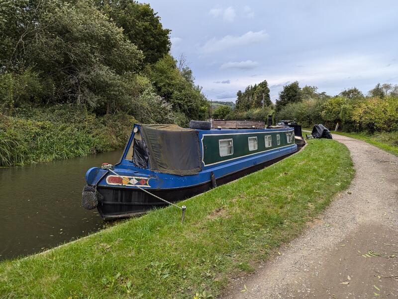 Celandine Narrowboat