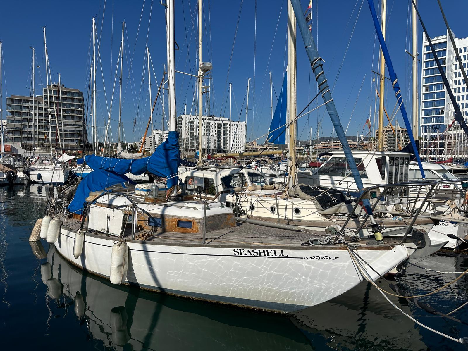 Seashell Cheoy Lee 36ft Off Shore