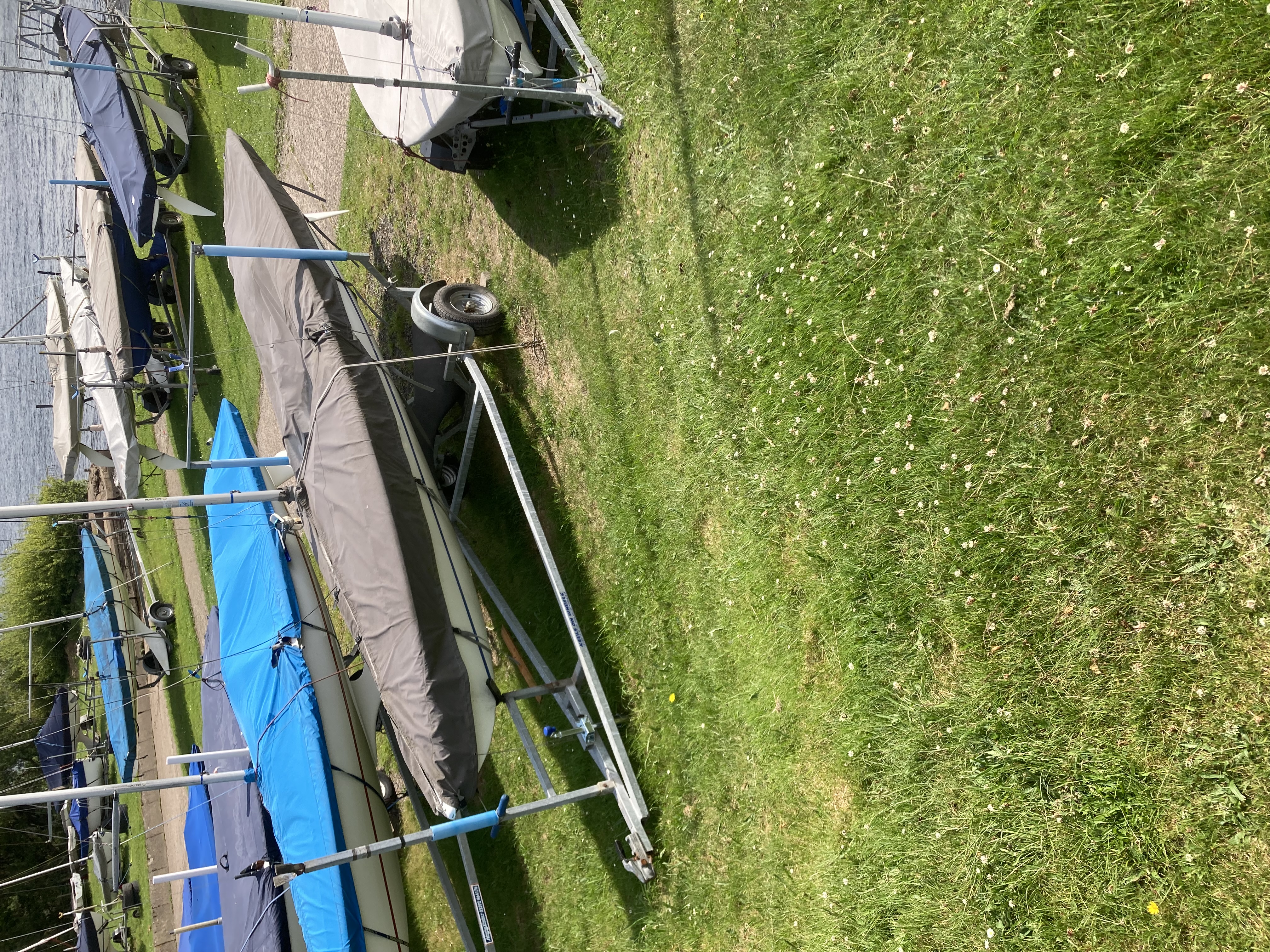 Fantastic Mr Fox Flying15